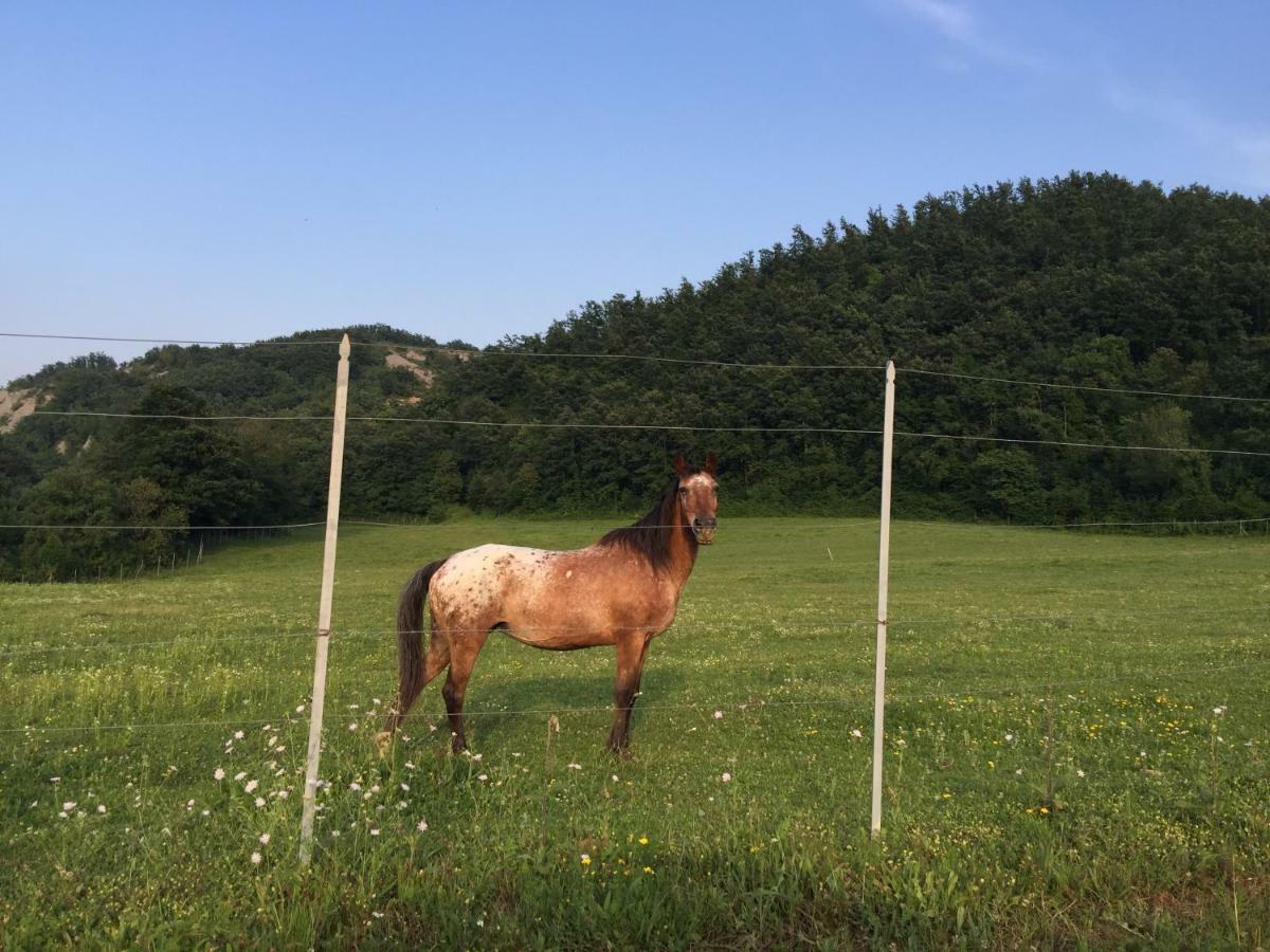 Affittacamere Relais Valguerriera Apecchio Esterno foto